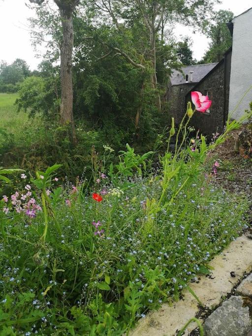 Riverside Cottage At Logwood Mill Ballyclare Bagian luar foto