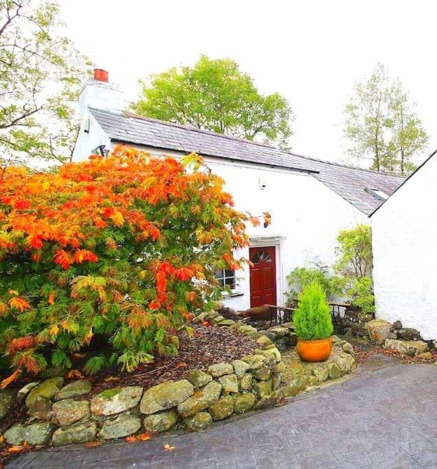 Riverside Cottage At Logwood Mill Ballyclare Bagian luar foto