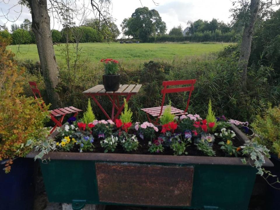 Riverside Cottage At Logwood Mill Ballyclare Bagian luar foto