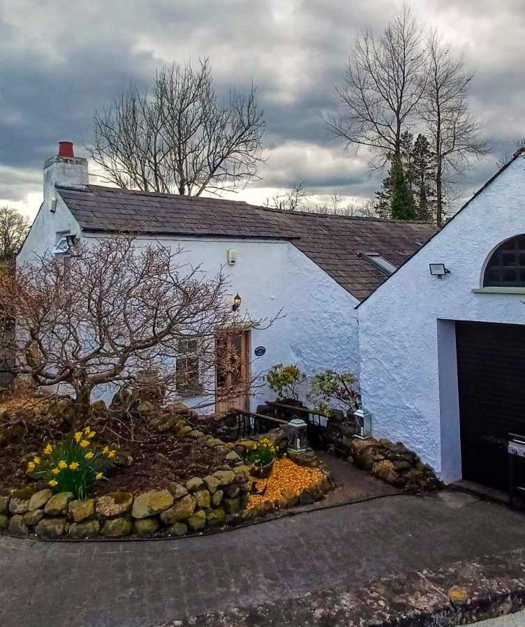 Riverside Cottage At Logwood Mill Ballyclare Bagian luar foto